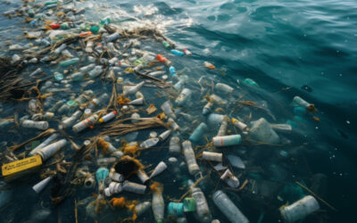 Bilan Carbone : Pourquoi l&rsquo;osmoseur gagne le match contre les bouteilles plastique