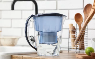 Carafe filtrante ou Osmoseur Laugil : Le match de la vérité sur 12 mois